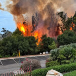 Flames rise from a brush fire at Brengle Terrace Park on Sunday morning. Courtesy photo/Vista Fire Department