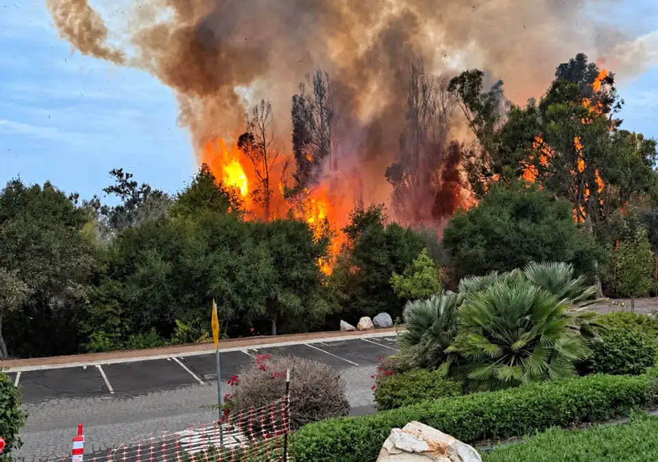 Flames rise from a brush fire at Brengle Terrace Park on Sunday morning. Courtesy photo/Vista Fire Department
