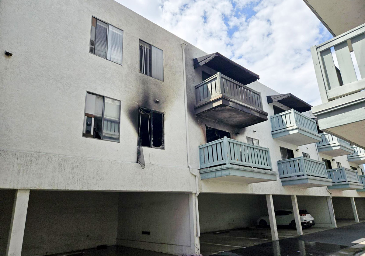 12 dogs rescued after fire at Escondido senior apartments