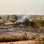 The aftermath of the 1996 Harmony Grove Fire, which burned thousands of acres across North County and destroyed nearly 100 homes. Photo by Anni Mallison