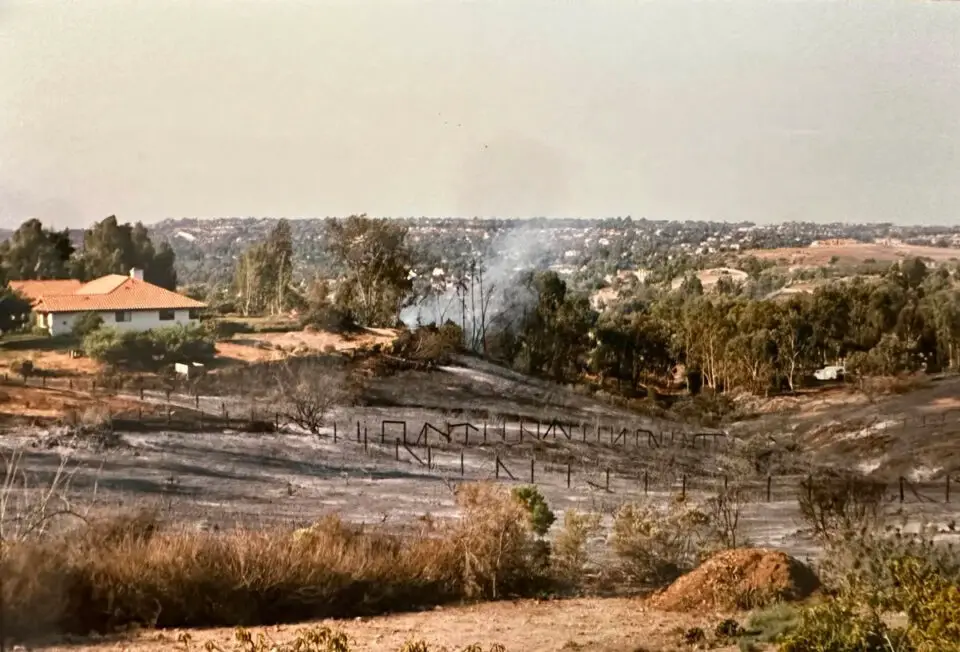 The aftermath of the 1996 Harmony Grove Fire, which burned thousands of acres across North County and destroyed nearly 100 homes. Photo by Anni Mallison