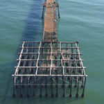 Oceanside is currently seeking bids to stabilize the hammerhead end of the historic Oceanside pier. Courtesy photo/City of Oceanside