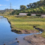 The River Path along the San Dieguito Lagoon. File photo/Leo Place