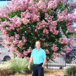 Russell Bowman is known as San Diego’s “tree doctor extraordinaire.” Courtesy photo
