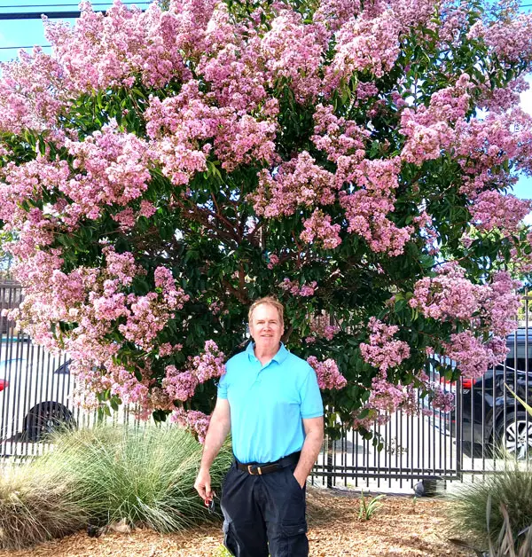 Russell Bowman is known as San Diego’s “tree doctor extraordinaire.” Courtesy photo