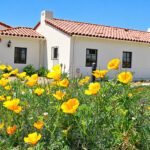 Residential cottages at the San Marcos campus of Casa de Amparo. Courtesy photo/Casa de Amparo