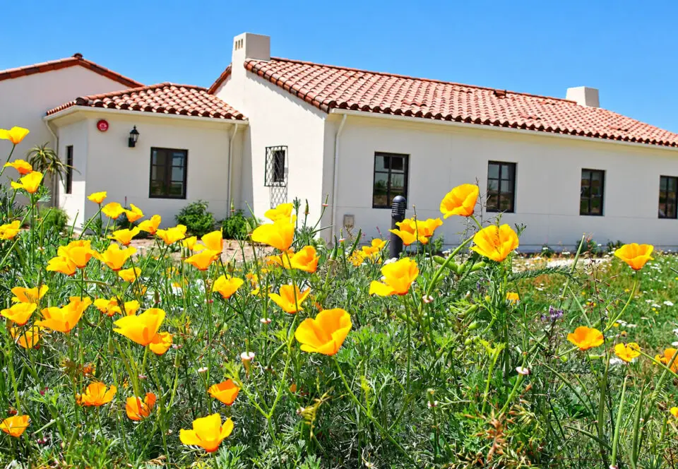 Residential cottages at the San Marcos campus of Casa de Amparo. Courtesy photo/Casa de Amparo