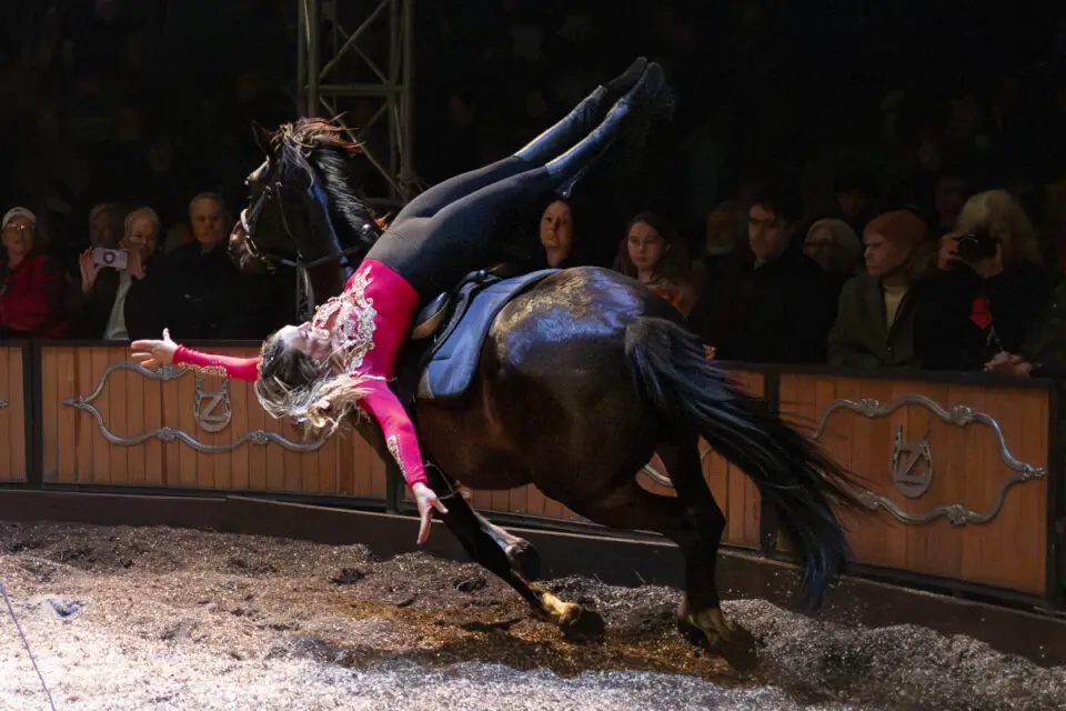 A performer with Cirque Ma'Ceo rides during a recent show. Courtesy photo / Cirque Ma'Ceo