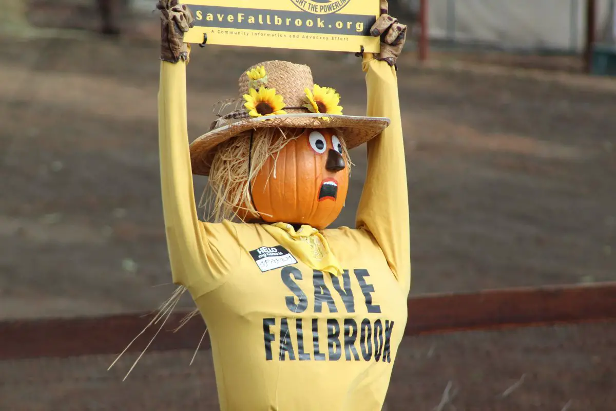 A scarecrow display in Fallbrook opposes the proposed Golden Powerlink transmission line project. Photo by Samantha Nelson