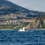A boat off the coast of Catalina Island during the search for a missing person after a medical helicopter crash killed two people Wednesday night. Courtesy photo