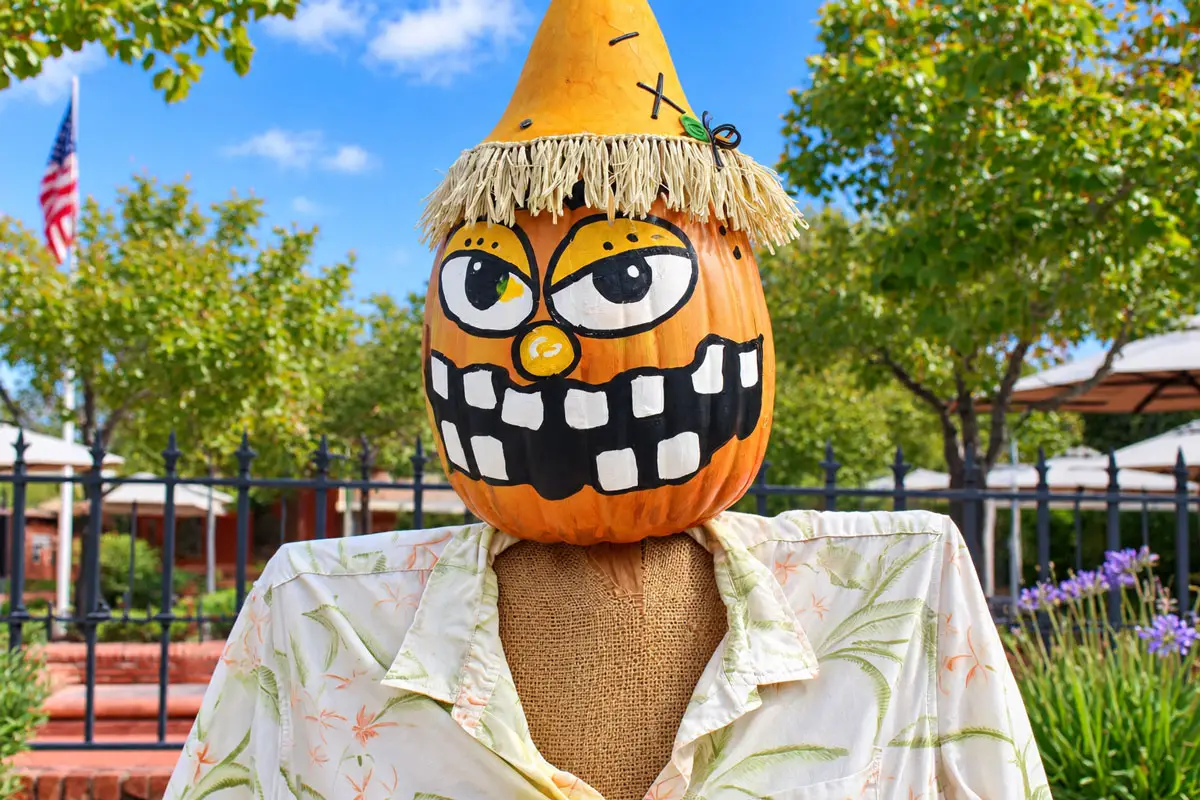 Pumpkin-headed scarecrows add some seasonal charm to Fallbrook during the 14th annual Scarecrow Days. Photo by Samantha Nelson