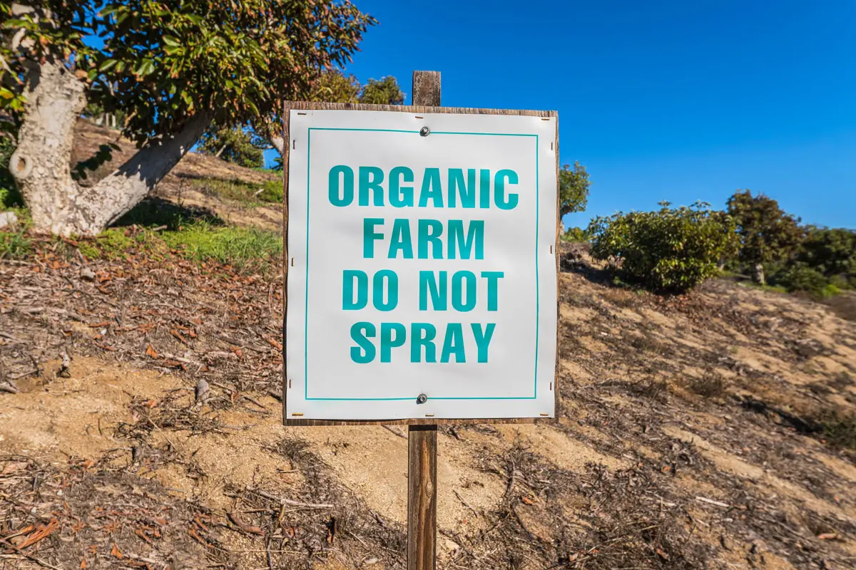 An “Organic farm, do not spray” sign stands in Fallbrook. Opponents of San Diego County’s cannabis program worry that pesticide drift from nearby cultivation could threaten organic crops.