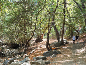 Nojoqui Falls Park near Buellton, California