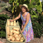 Linda Luisi, a Carlsbad resident, is working to help the Oceanside Kitchen Collaborative gather donations from home gardens that have plants overproducing. Courtesy photo