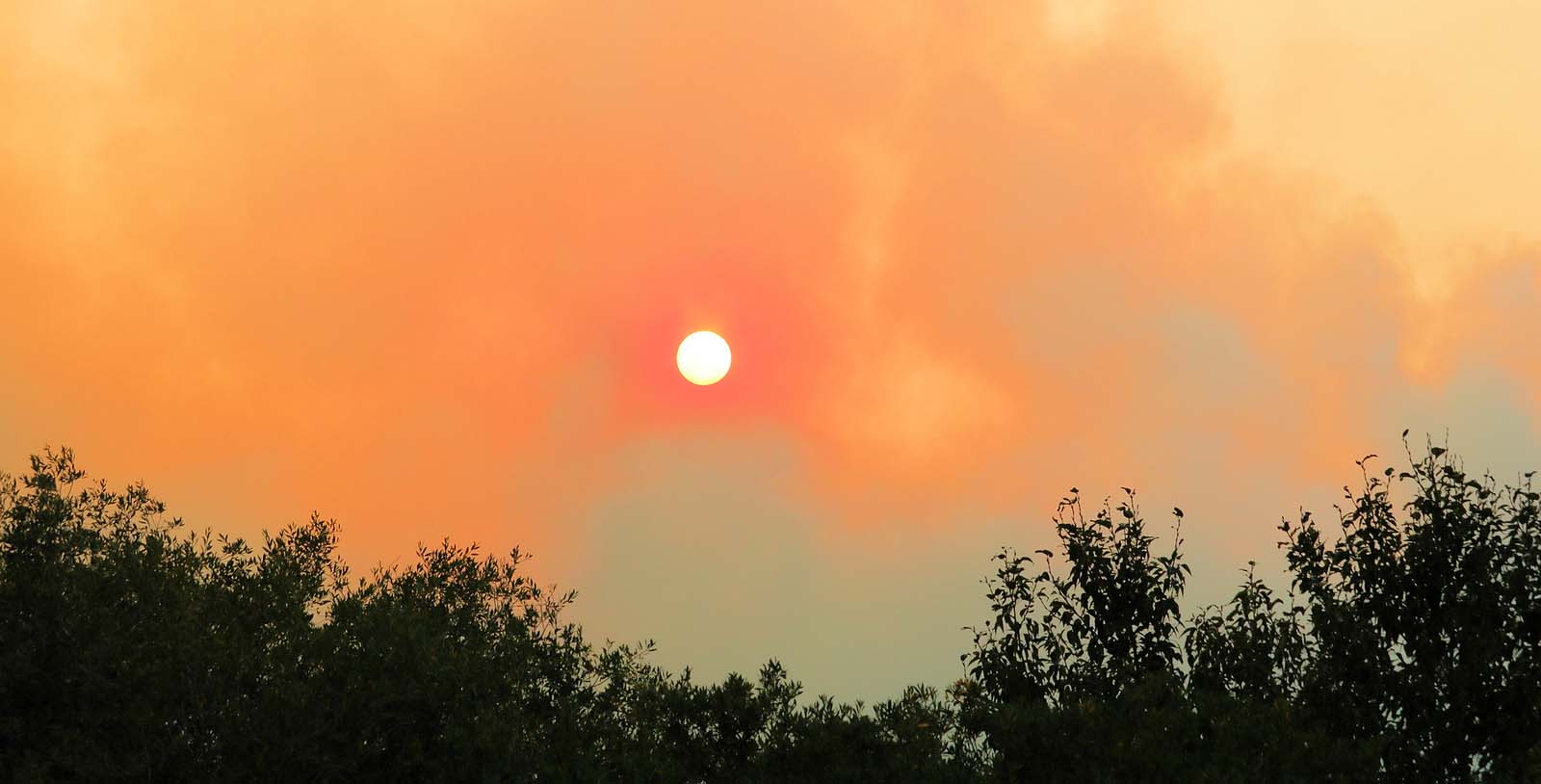smoke wildfires heat weather