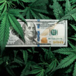 cannabis tax