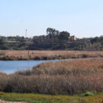 The San Diego Association of Governments received a $3 million grant to go toward the restoration of the Buena Vista Lagoon. About $3 million is needed to start the project.