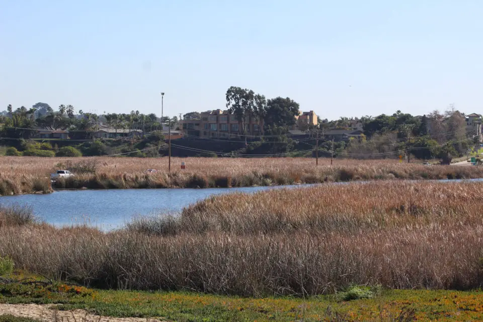 The San Diego Association of Governments received a $3 million grant to go toward the restoration of the Buena Vista Lagoon. About $3 million is needed to start the project.