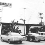 The Leucadian Bar has been a popular drinking spot with live music since the late 50s.