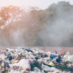 California law requires cities to reduce the amount of organic waste disposal in landfills by 75% in an effort to cut greenhouse gas emissions