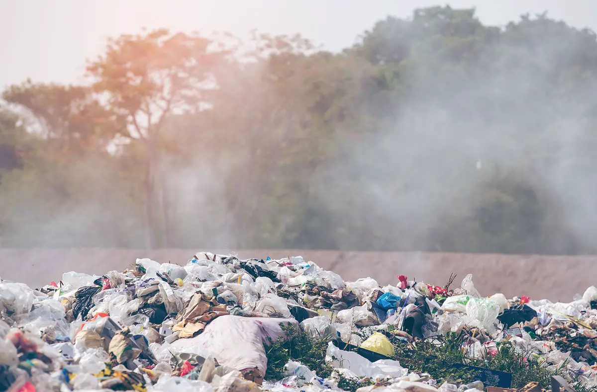 California law requires cities to reduce the amount of organic waste disposal in landfills by 75% in an effort to cut greenhouse gas emissions