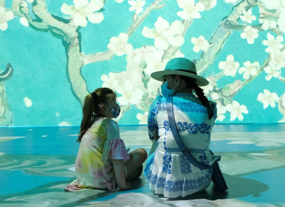 Beyond Van Gogh is a 3D immersive art experience coming to the Del Mar Fairgrounds.
