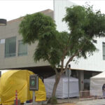 One of three new surge tents is seen in front of the emergency room at Scripps Memorial Hospital Encinitas. The tents were put up in late July to help handle the influx of new COVID-19 patients. Photo courtesy of Scripps Encinitas