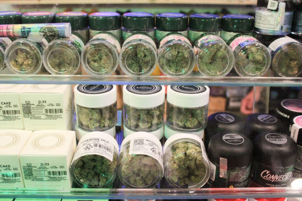 Jars of recreational cannabis strains fill the shelves at Dr. GreenRx in Vista. Photo by Steve Puterski