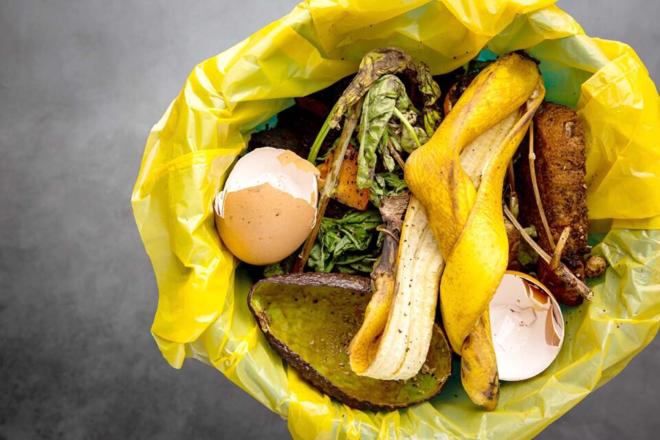 food waste recycling