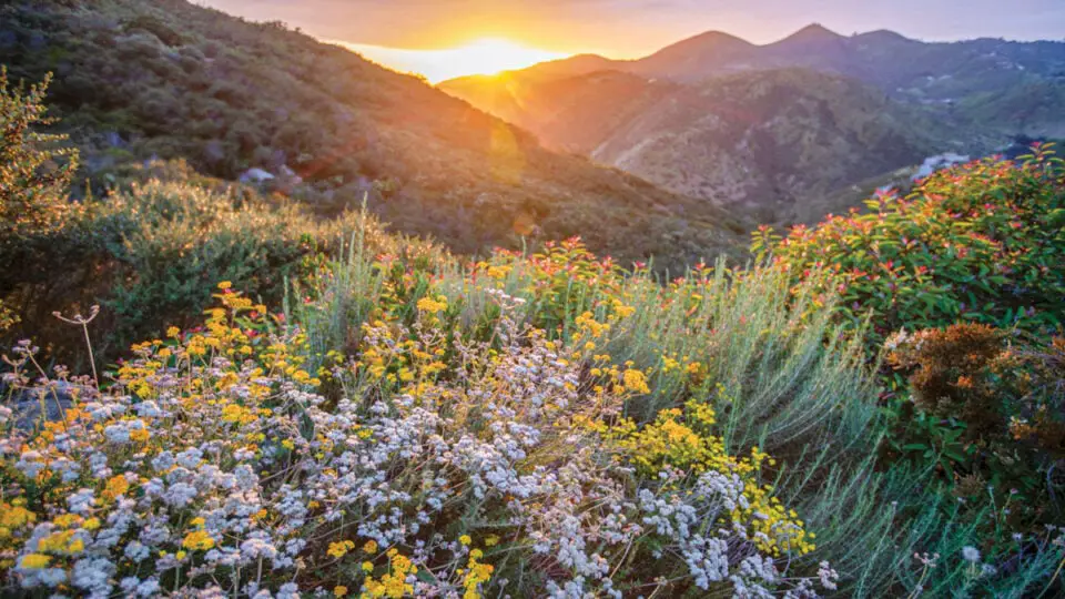 Escondido Creek Conservancy now joins a network of over 450 accredited land trusts across the nation. Photo by Richard Murphy